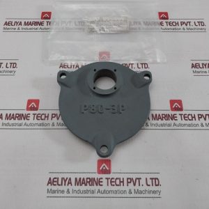 Nakakita P80-3p Actuator