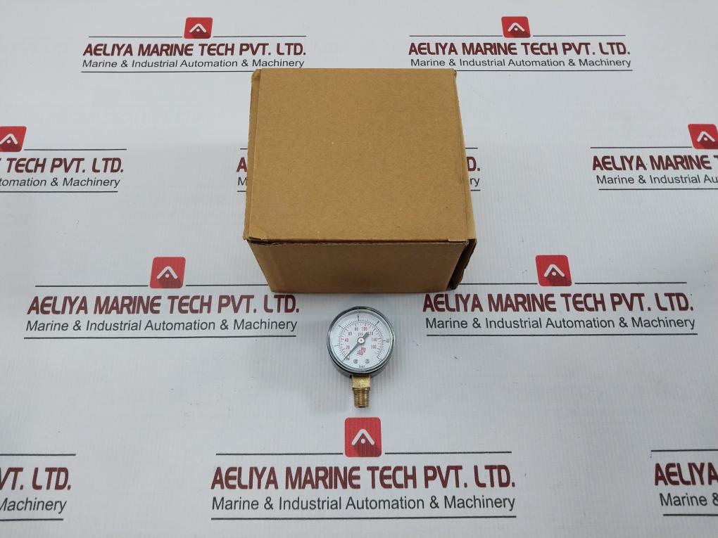 Strumentazione Industriale 0-12 Bar Pressure Gauge