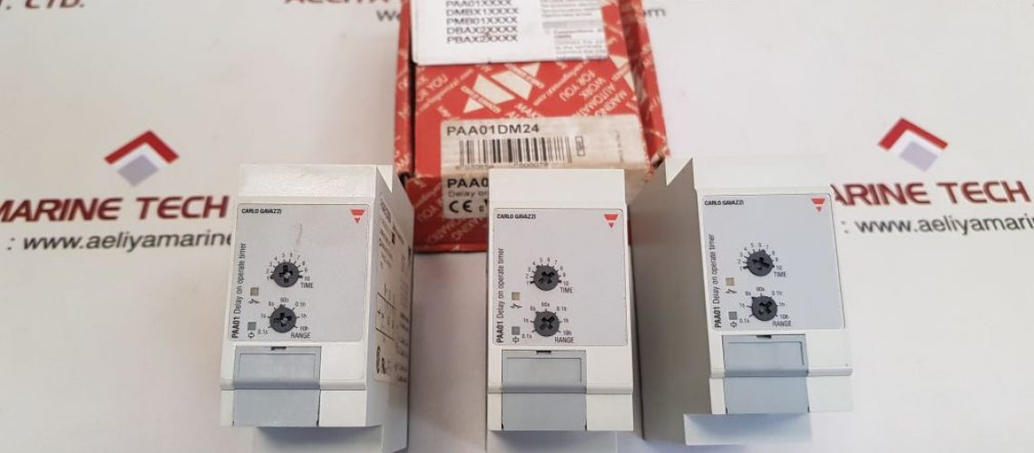 CARLO GAVAZZI PAA01DM24 DELAY ON OPERATE TIMER